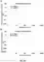 Fig. 45 - DIGITAL CRISPR-BASED METHOD FOR THE RAPID DETECTION AND ABSOLUTE QUANTIFICATION OF NUCLEIC ACIDS
