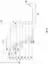 Fig. 09 - FLEXIBLE FIBER OPTIC CIRCUITS AND METHODS OF MANUFACTURING THE SAME