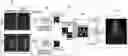 Fig. 01 - VOLUMETRIC PERFORMANCE CAPTURE WITH NEURAL RENDERING