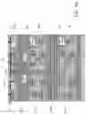Fig. 32 - THREE DIMENSIONAL (3D) CHIPLET AND METHODS FOR FORMING THE SAME