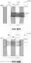 Fig. 85 - Gate cut and fin trim isolation for advanced integrated circuit structure fabrication