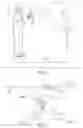 Fig. 02 - SPECIAL LIGHT EFFECTS SYSTEM