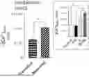 Fig. 01 - COMPOSITIONS AND METHODS USING A COMBINATION OF OLEUROPEIN AND QUERCETIN FOR CELLULAR ENERGY