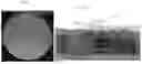 Fig. 02 - COMPOSITIONS AND METHODS USING METHANOTROPHIC S-LAYER PROTEINS FOR EXPRESSION OF HETEROLOGOUS PROTEINS