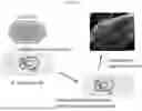 Fig. 04 - COMPOSITIONS AND METHODS USING METHANOTROPHIC S-LAYER PROTEINS FOR EXPRESSION OF HETEROLOGOUS PROTEINS