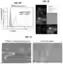 Fig. 07 - Methods for Generation for Pluripotent and Multipotent Cells