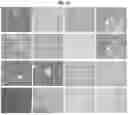 Fig. 22 - Methods for Generation for Pluripotent and Multipotent Cells