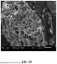 Fig. 04 - IMMOBILIZED CRUDE ENZYME FOR DEGRADING COMPLEX POLYCYCLIC AROMATIC HYDROCARBONs (PAHs) IN SOIL AND PREPARATION METHOD THEREOF