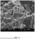 Fig. 05 - IMMOBILIZED CRUDE ENZYME FOR DEGRADING COMPLEX POLYCYCLIC AROMATIC HYDROCARBONs (PAHs) IN SOIL AND PREPARATION METHOD THEREOF