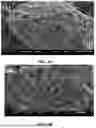 Fig. 11 - IMMOBILIZED CRUDE ENZYME FOR DEGRADING COMPLEX POLYCYCLIC AROMATIC HYDROCARBONs (PAHs) IN SOIL AND PREPARATION METHOD THEREOF