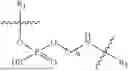 Fig. 05 - NUCLEIC ACID DUPLEXES