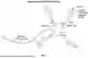 Fig. 02 - ANALYSIS OF ANTIGEN AND ANTIGEN RECEPTOR INTERACTIONS