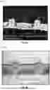 Fig. 07 - Microreplicated optical film