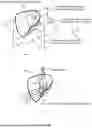 Fig. 09 - REFLECTOR STRUCTURE HAVING THREE-DIMENSIONAL CURVATURE