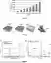 Fig. 02 - FILM FOR DEICING AND ELECTROMAGNETIC INTERFERENCE SHIELDING APPLICATIONS