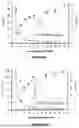 Fig. 05 - FILM FOR DEICING AND ELECTROMAGNETIC INTERFERENCE SHIELDING APPLICATIONS