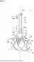Fig. 02 - Coupling device and coupling method for coupling subject member