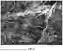 Fig. 06 - METHOD FOR PRODUCING SUPERHYDROPHOBIC CARBON NANOTUBE SHEETS