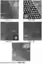 Fig. 08 - HIERARCHICALLY ORDERED CRYSTALLINE MICROPOROUS MATERIALS WITH LONG-RANGE MESOPOROUS ORDER HAVING HEXAGONAL SYMMETRY