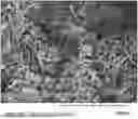 Fig. 01 - EMM-58 zeolite compositions, syntheses, and uses