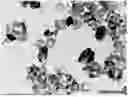 Fig. 01 - Calcium carbonate with controlled particle morphology, method for producing the same, and crystal growth method