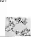Fig. 02 - Calcium carbonate with controlled particle morphology, method for producing the same, and crystal growth method