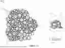 Fig. 02 - CEMENT COMPOSITIONS WITH 3D GRAPHENE CARBONS