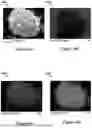 Fig. 09 - CEMENT COMPOSITIONS WITH 3D GRAPHENE CARBONS