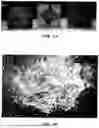 Fig. 03 - NOVEL MASONRY MATERIAL UTILIZING RECYCLED CONSTRUCTION & DEMOLITION WASTE