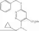 Fig. 173 - N-Linked Glycosylation Inhibitors and Methods of Using Same