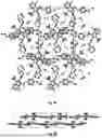 Fig. 19 - Crystalline Forms of 4-amino-N-[4-(methoxymethyl)phenyl]-7-(1-methylcyclopropyl)-6-(3-morpholinoprop-1-yn-1-yl)-7H-pyrrolo[2,3-d]pyrimidine-5-carboxamide