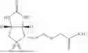 Fig. 08 - BIOTIN DERIVATIVES