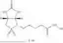 Fig. 146 - BIOTIN DERIVATIVES
