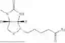 Fig. 41 - BIOTIN DERIVATIVES