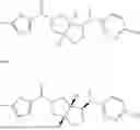 Fig. 64 - Substituted cyclopenta[c]pyrroles as ABHD6 antagonists