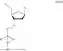 Fig. 02 - 3' PROTECTED NUCLEOTIDES