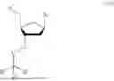 Fig. 09 - 3' PROTECTED NUCLEOTIDES