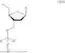 Fig. 22 - 3' PROTECTED NUCLEOTIDES