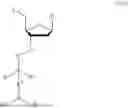 Fig. 45 - 3' PROTECTED NUCLEOTIDES