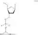 Fig. 46 - 3' PROTECTED NUCLEOTIDES