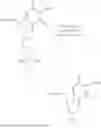 Fig. 77 - 3' PROTECTED NUCLEOTIDES