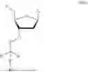 Fig. 80 - 3' PROTECTED NUCLEOTIDES