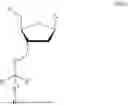 Fig. 86 - 3' PROTECTED NUCLEOTIDES