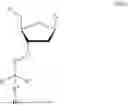 Fig. 89 - 3' PROTECTED NUCLEOTIDES
