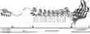 Fig. 01 - GENETICALLY ENGINEERED RECOMBINANT PROTEINS FOR FUNCTIONAL REGENERATIVE TISSUE SCAFFOLDS