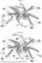 Fig. 04 - GENETICALLY ENGINEERED RECOMBINANT PROTEINS FOR FUNCTIONAL REGENERATIVE TISSUE SCAFFOLDS