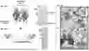 Fig. 08 - GENETICALLY ENGINEERED RECOMBINANT PROTEINS FOR FUNCTIONAL REGENERATIVE TISSUE SCAFFOLDS