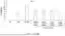 Fig. 09 - PEPTIDES AND METHODS OF USE