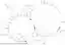 Fig. 101 - MASP INHIBITORY COMPOUNDS AND USES THEREOF