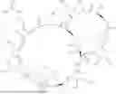 Fig. 110 - MASP INHIBITORY COMPOUNDS AND USES THEREOF